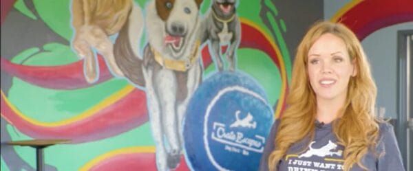 Dog Park and Bar Opens in Westfield 